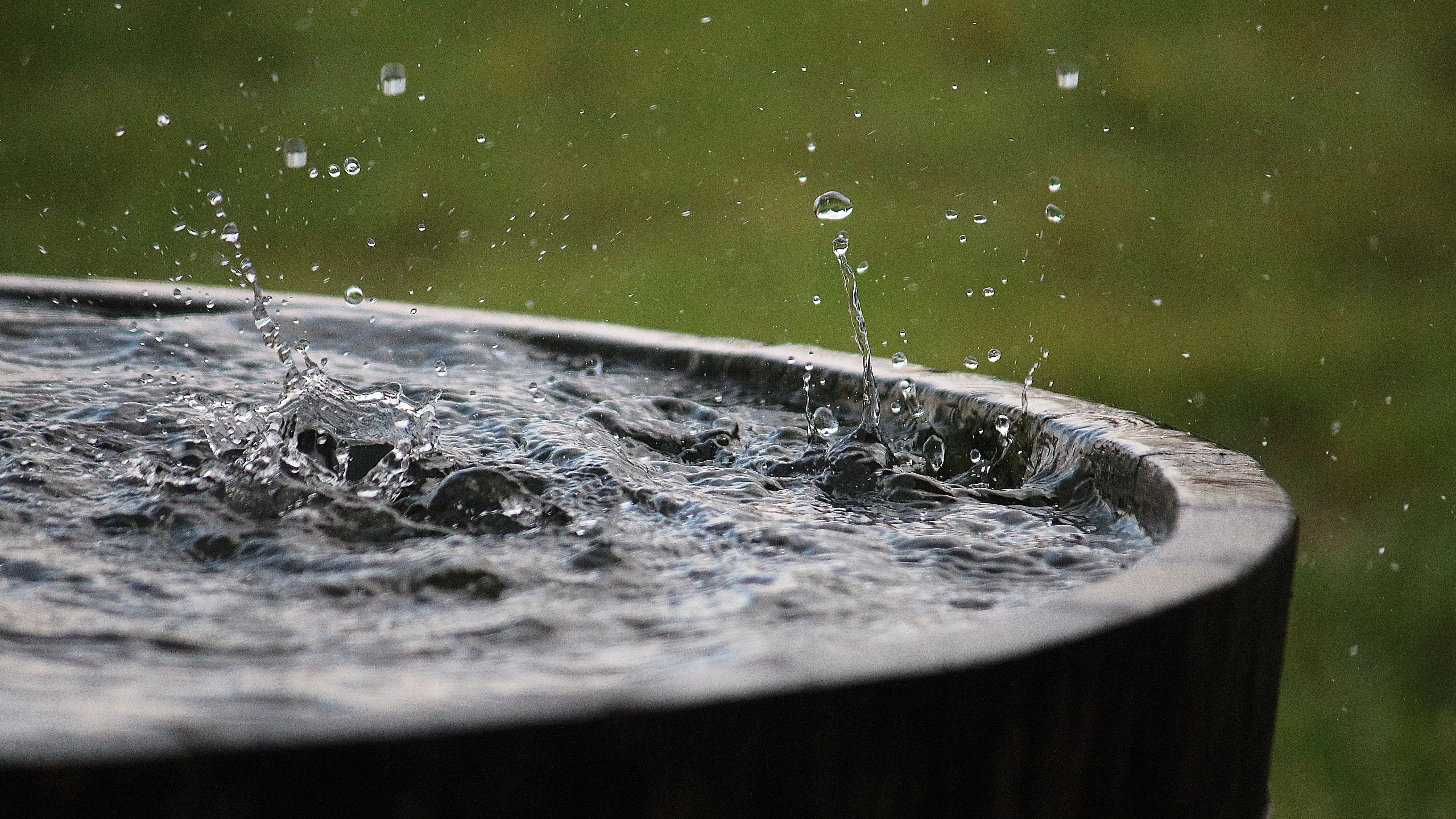 regenwasser-sammeln-garten