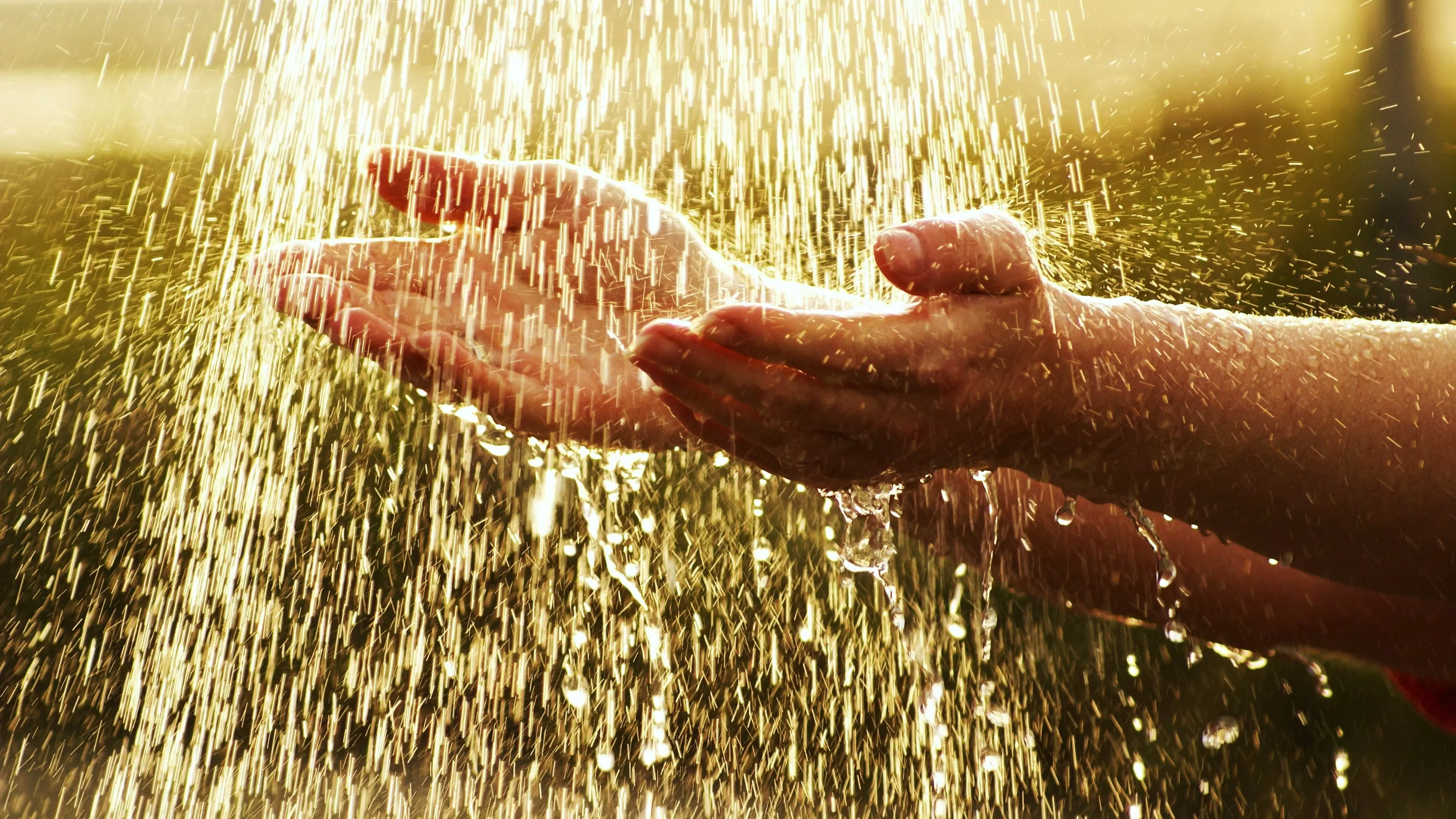 Was ist Grauwasser und warum wird es immer wichtiger? wasser-nachhaltig-nutzen