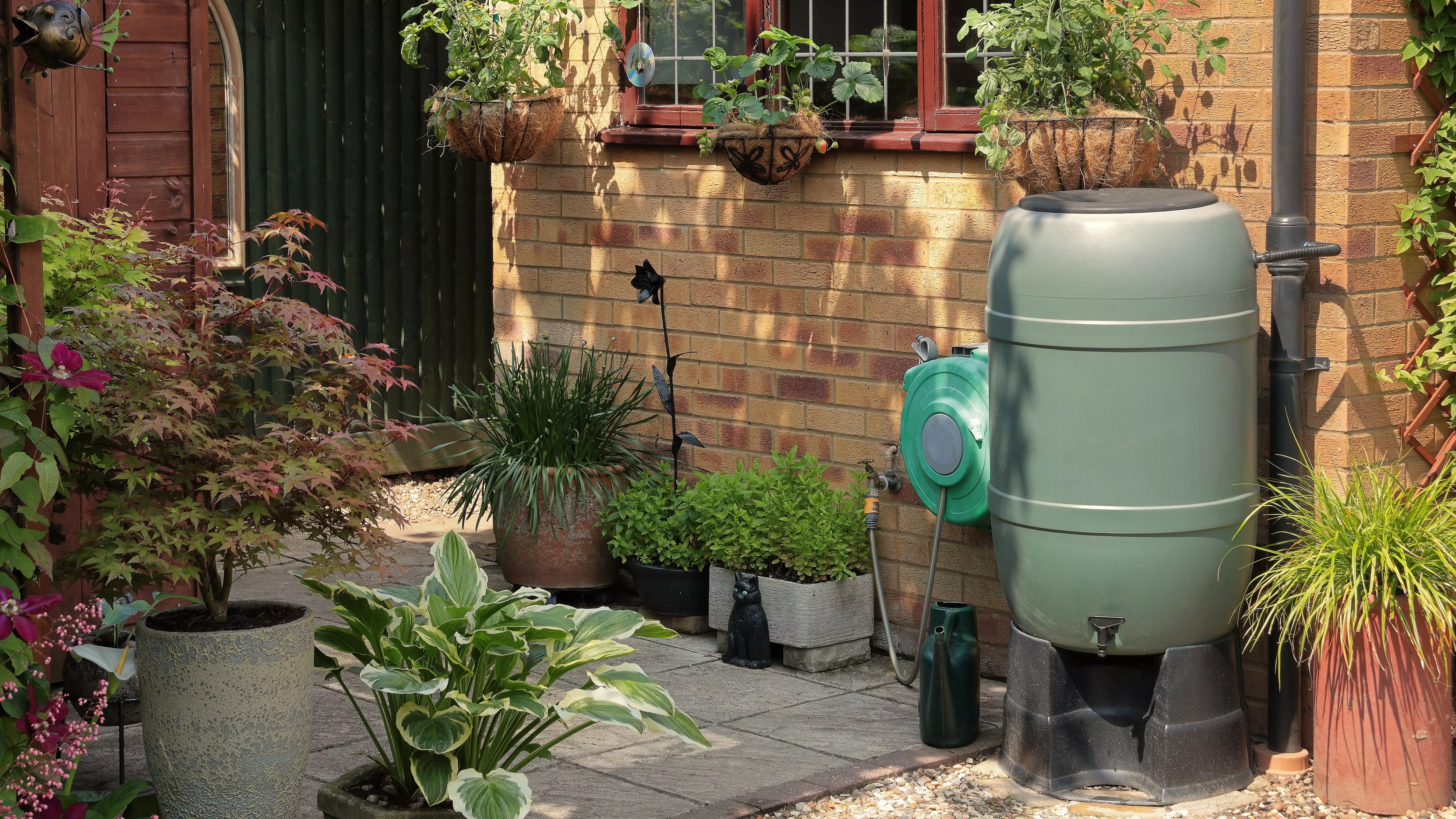 Mosquitoes in the rain barrel - causes and development regentonne-im-garten