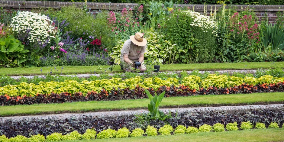Regenwassernutzung für Bewässerung Regenwassernutzung für Bewässerung