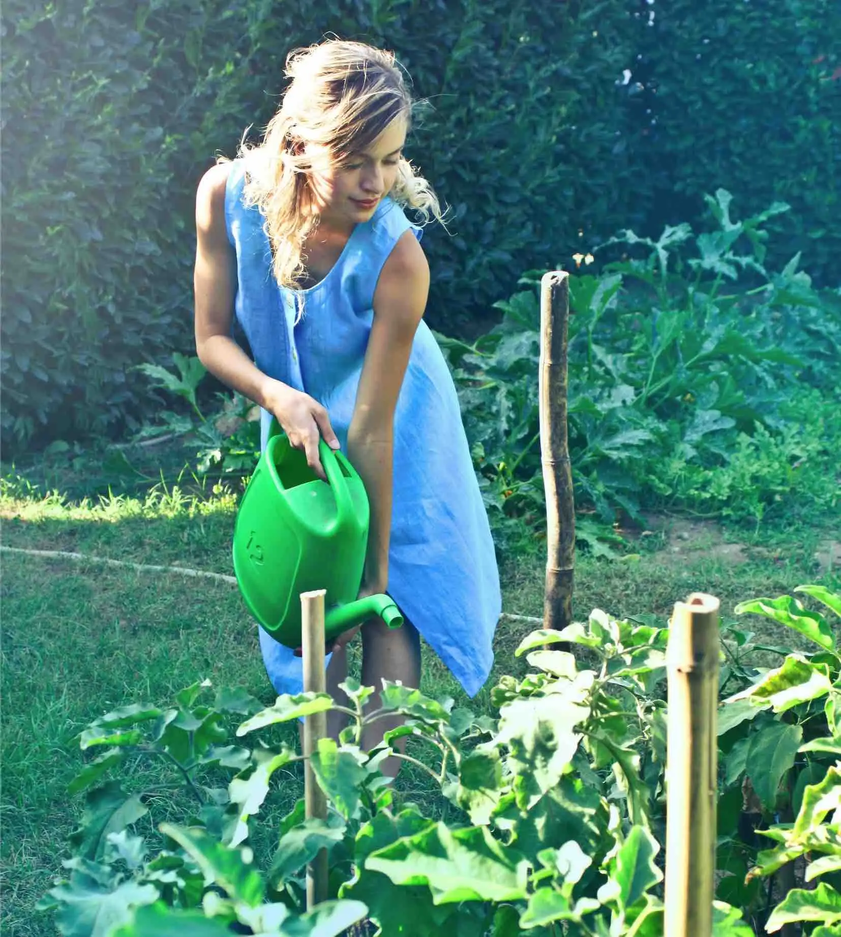 Blumenbeet bewässern mit Regenwasser