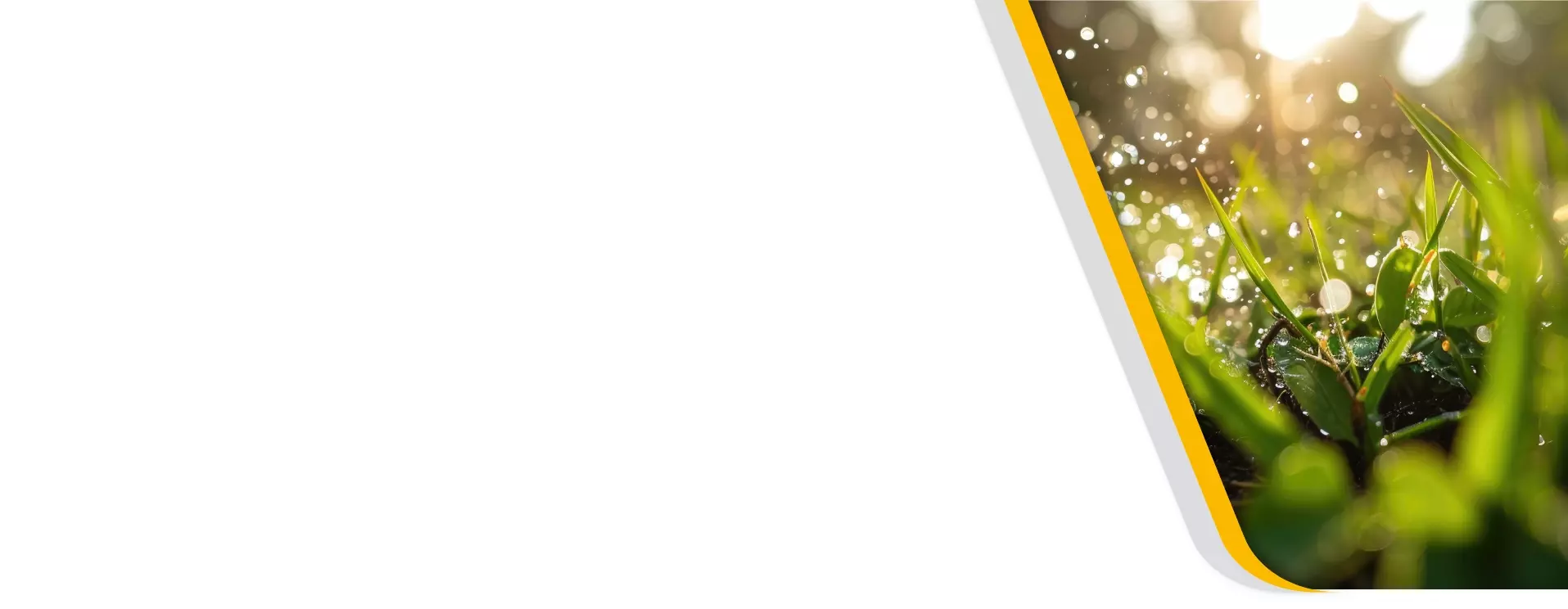 Hintergrund mit Grass