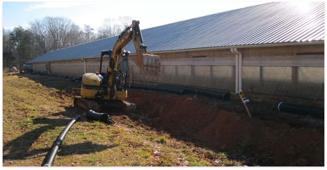 Poultry and cattle farm