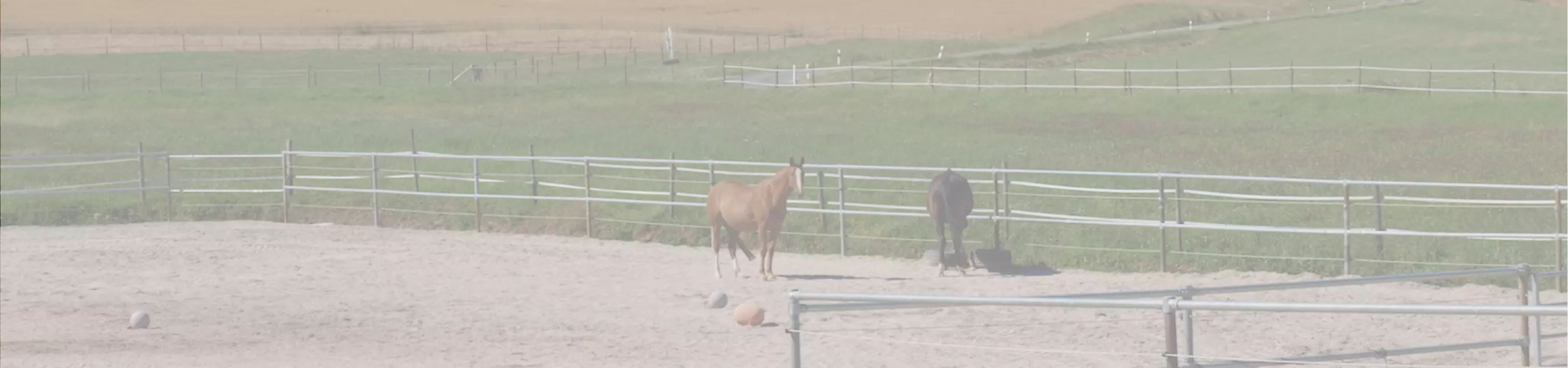 Eiflerhof Riding Stables Eiflerhof Riding Stables